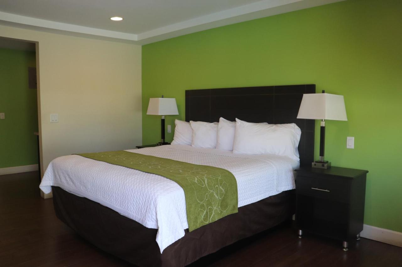 Curtis Inn & Suites Голливуд Экстерьер фото